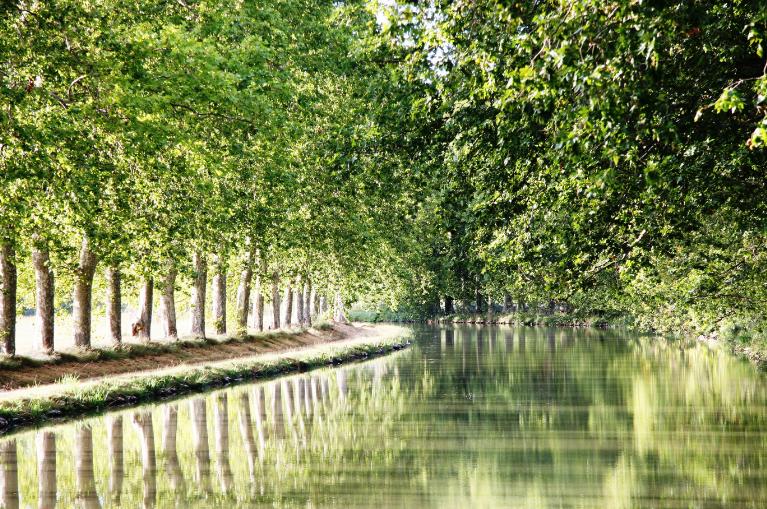 Canal des Deux Mers : De Bordeaux à Sète