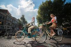 NL16300 - Voyage à vélo autour d'Utrecht